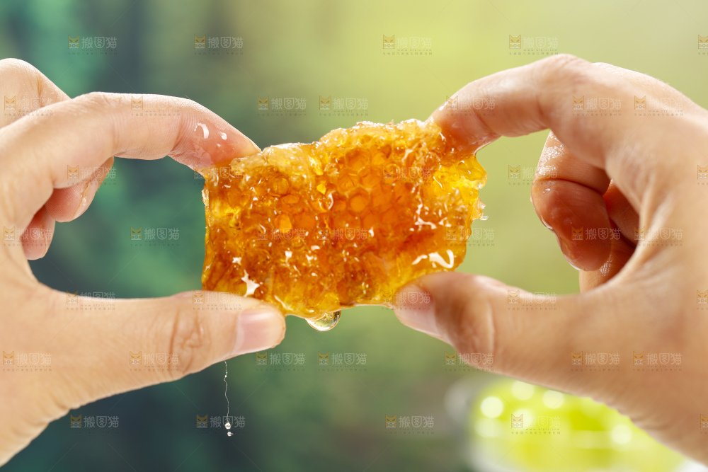 浅底上的蜂巢蜜