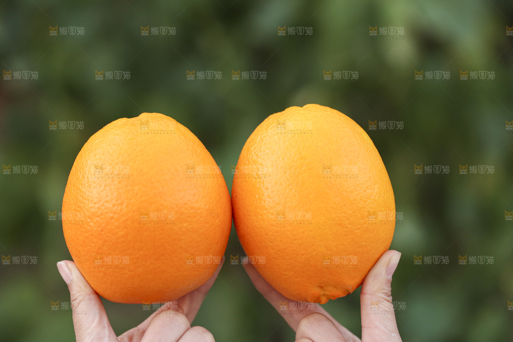 手里拿着赣南脐橙