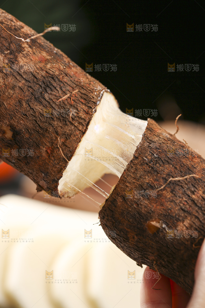 深底上放着灵芝山药