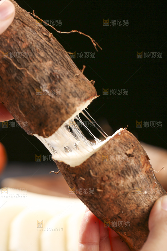 深底上放着灵芝山药