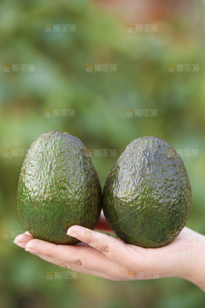 手里拿着秘鲁牛油果