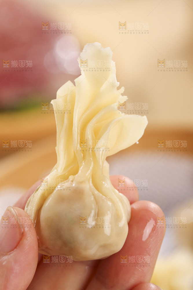 浅底上的小金鱼馄饨