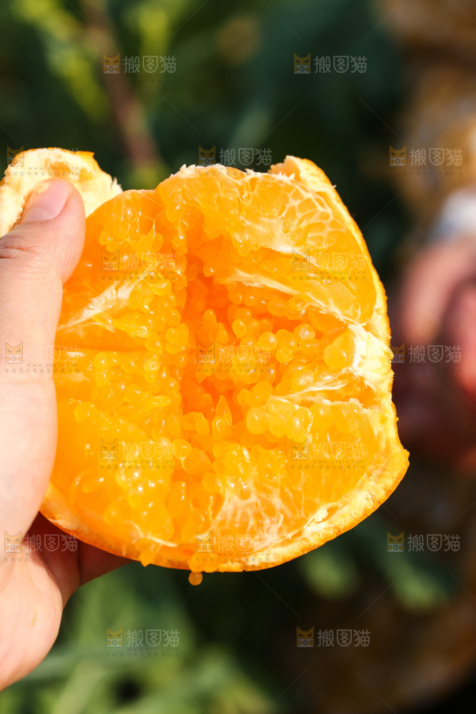 手里拿着丑八怪