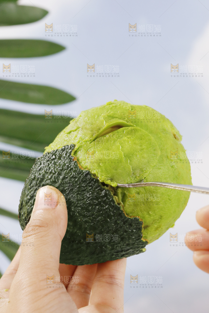 浅底上的巨无霸牛油果