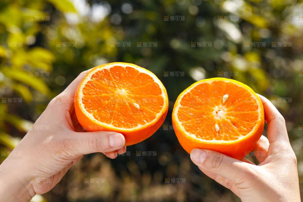 手里拿着沃柑