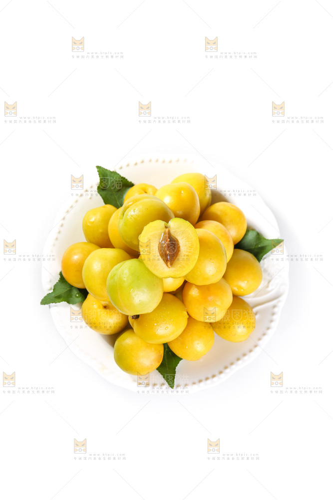 白底上的蜂糖李