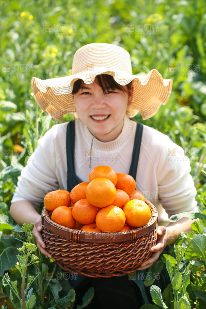 手里拿着新鲜沃柑