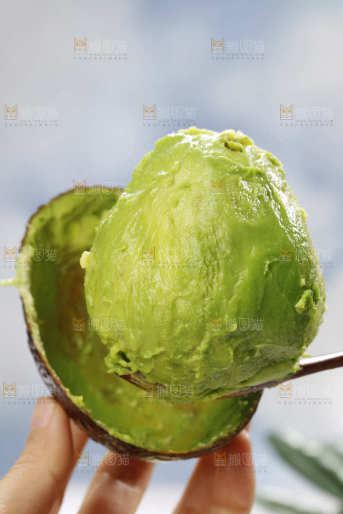 浅底上的巨无霸牛油果