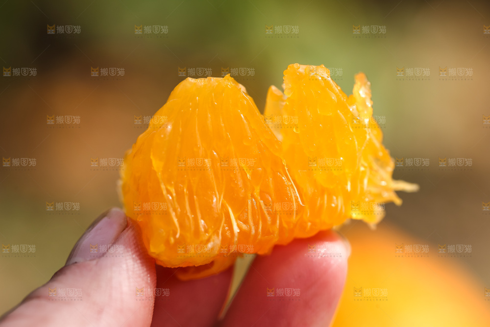 草地上的耙耙柑