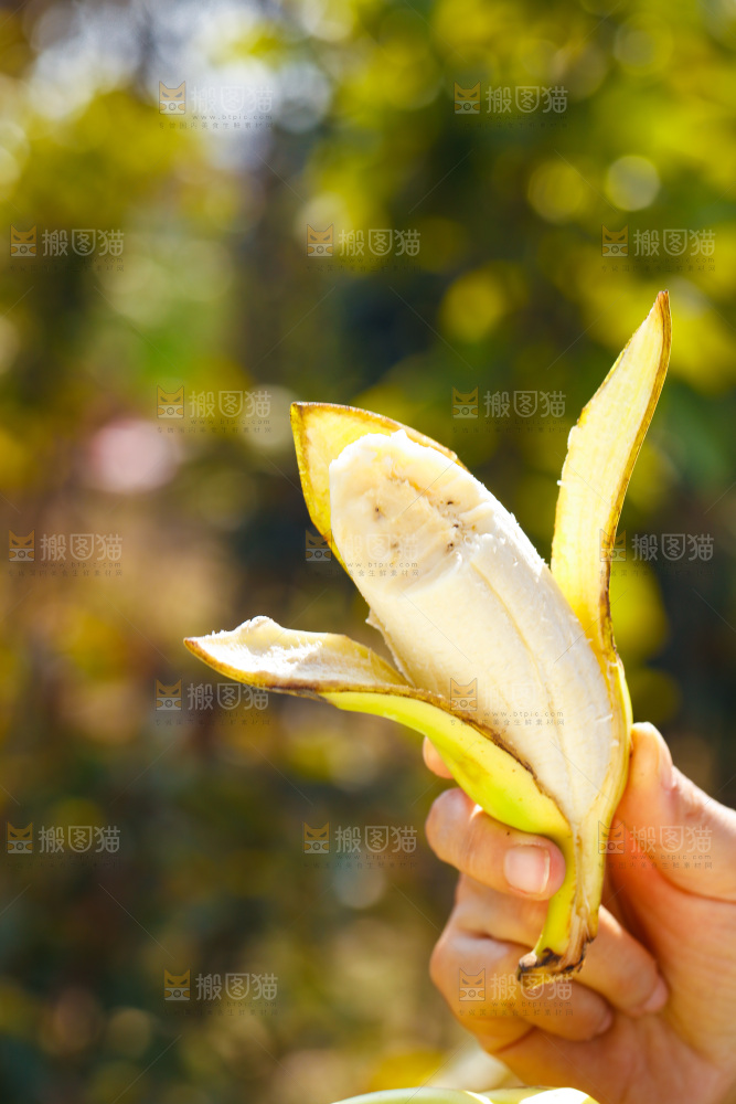 手里拿着广西芭蕉