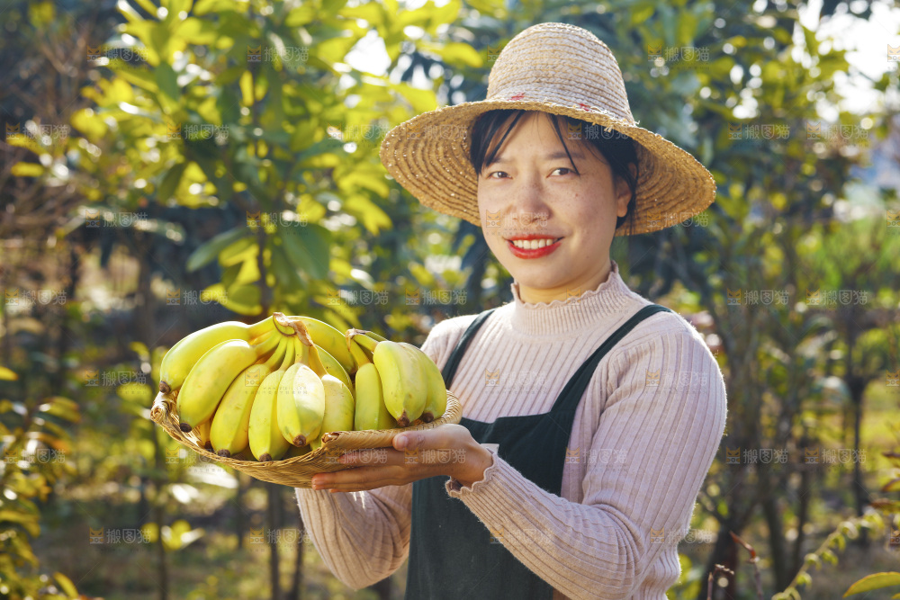 手里拿着广西芭蕉