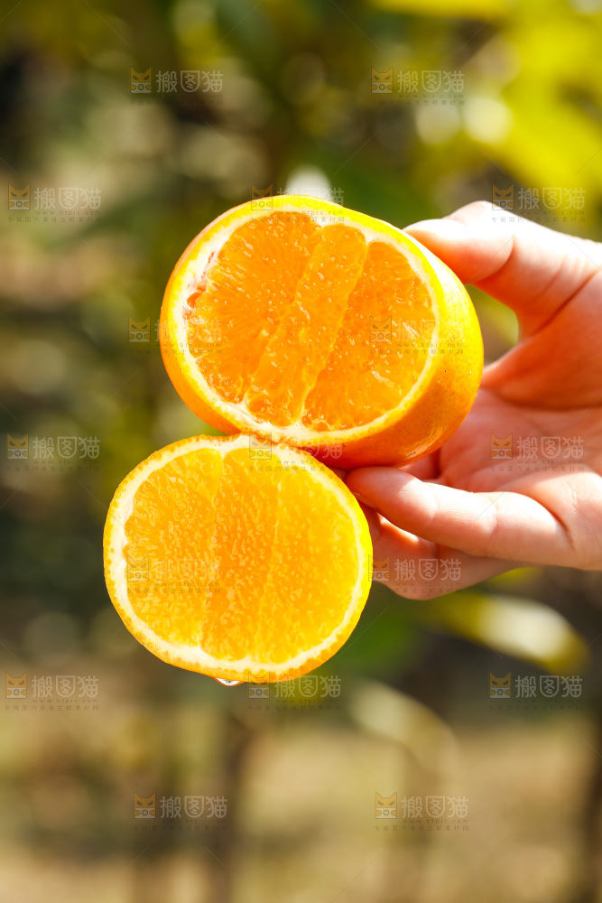 手里拿着沃柑