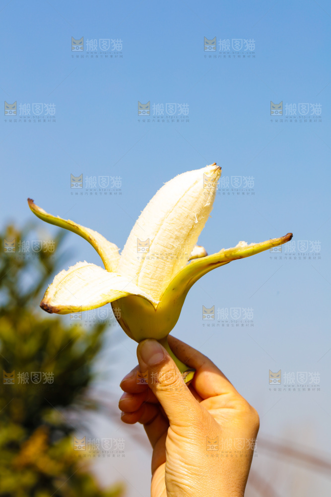 手里拿着广西芭蕉