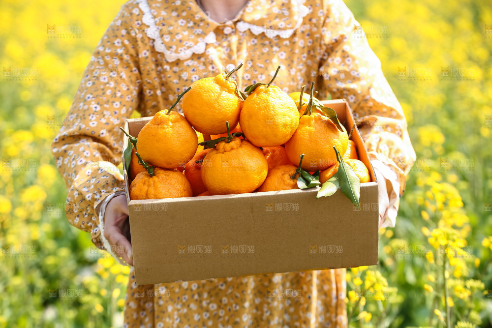 手里拿着丑八怪