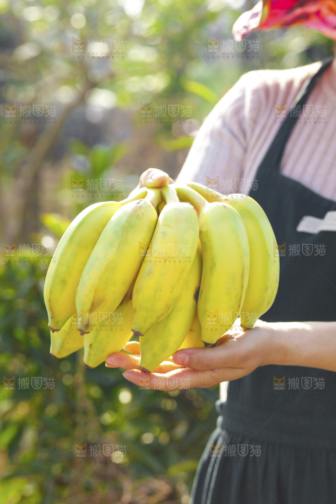 手里拿着广西芭蕉