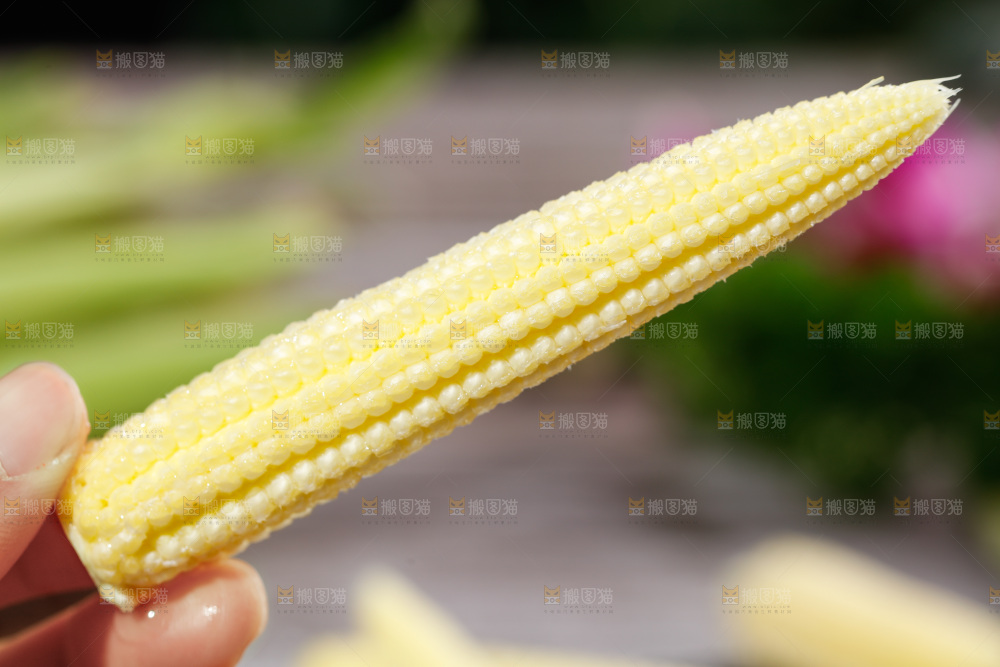 深底上的玉米笋