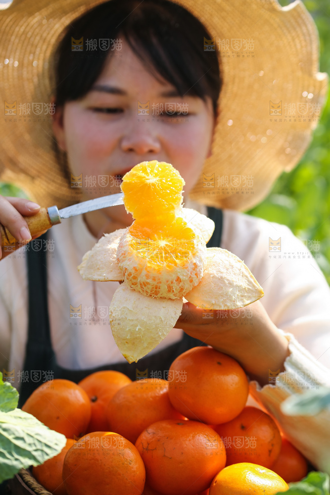 手里拿着新鲜沃柑