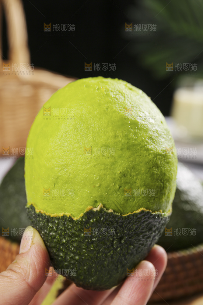浅底上的巨无霸牛油果