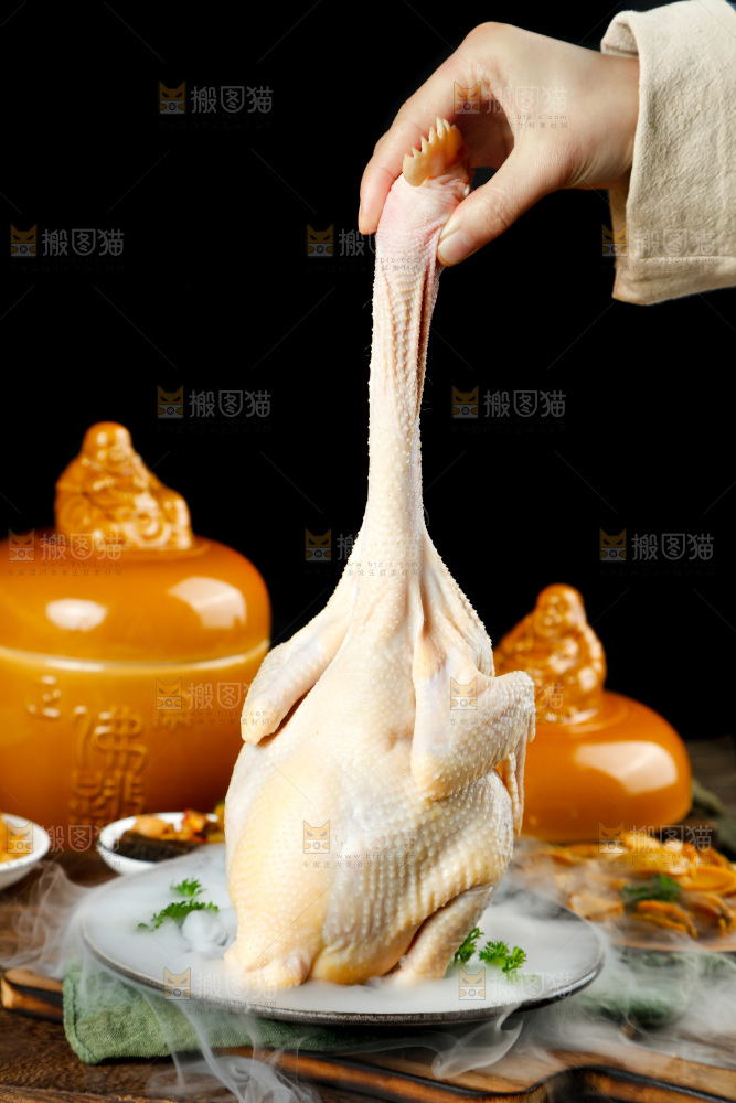 深底上的佛跳墙食材