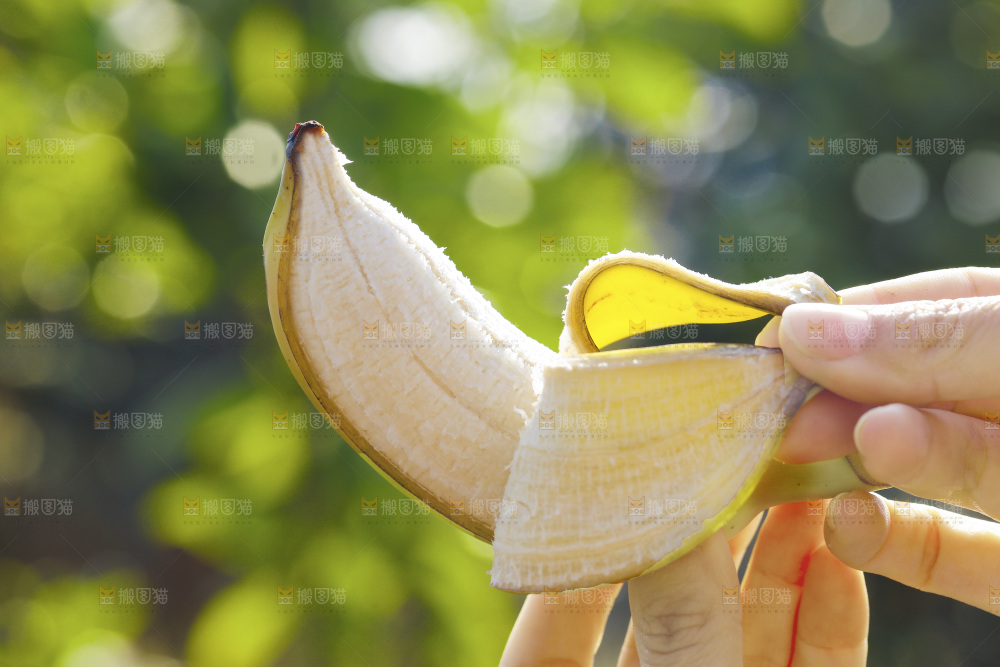 手里拿着广西芭蕉