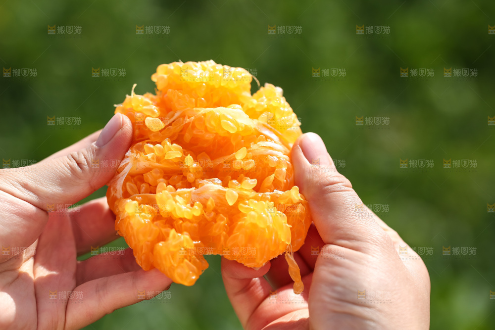 手里拿着丑八怪