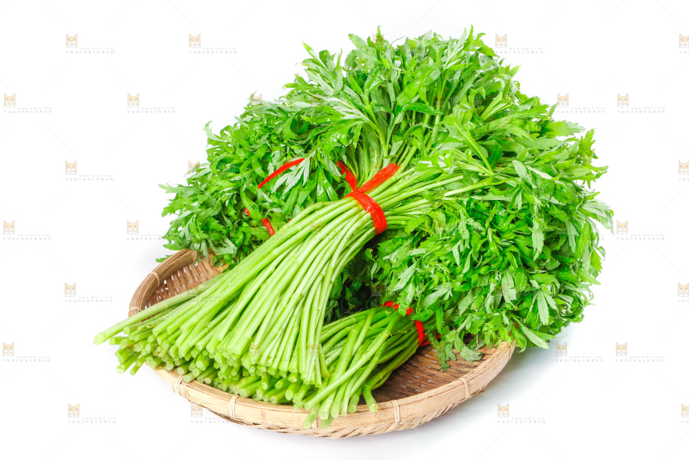 白底上放着藜蒿
