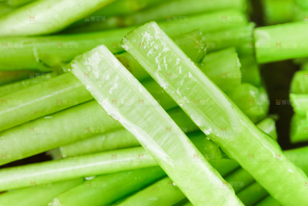 木底上的江西藜蒿