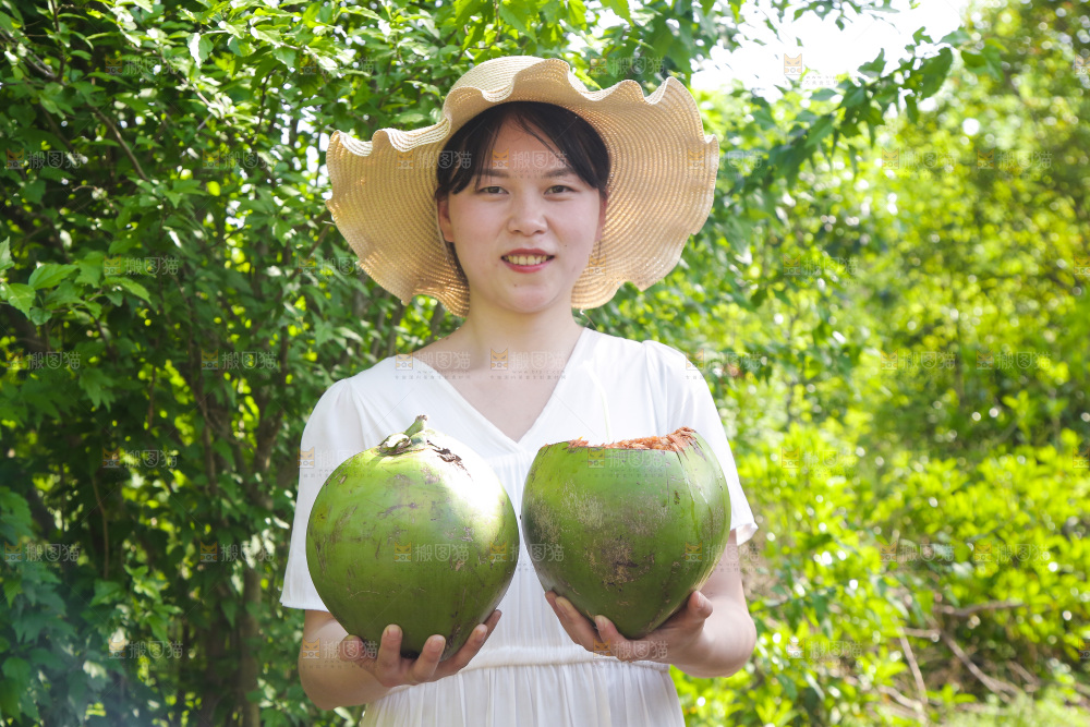 女孩手里拿着椰青