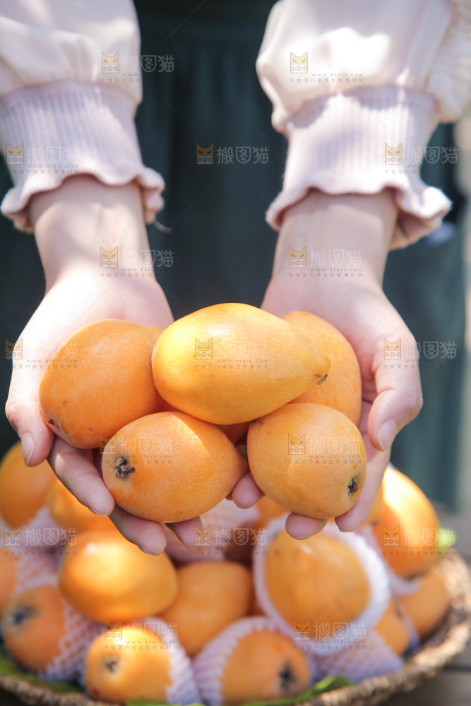 手里捧着大枇杷