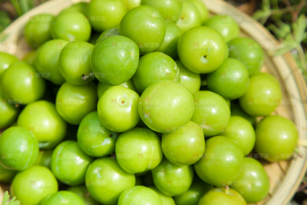 一篮青脆李