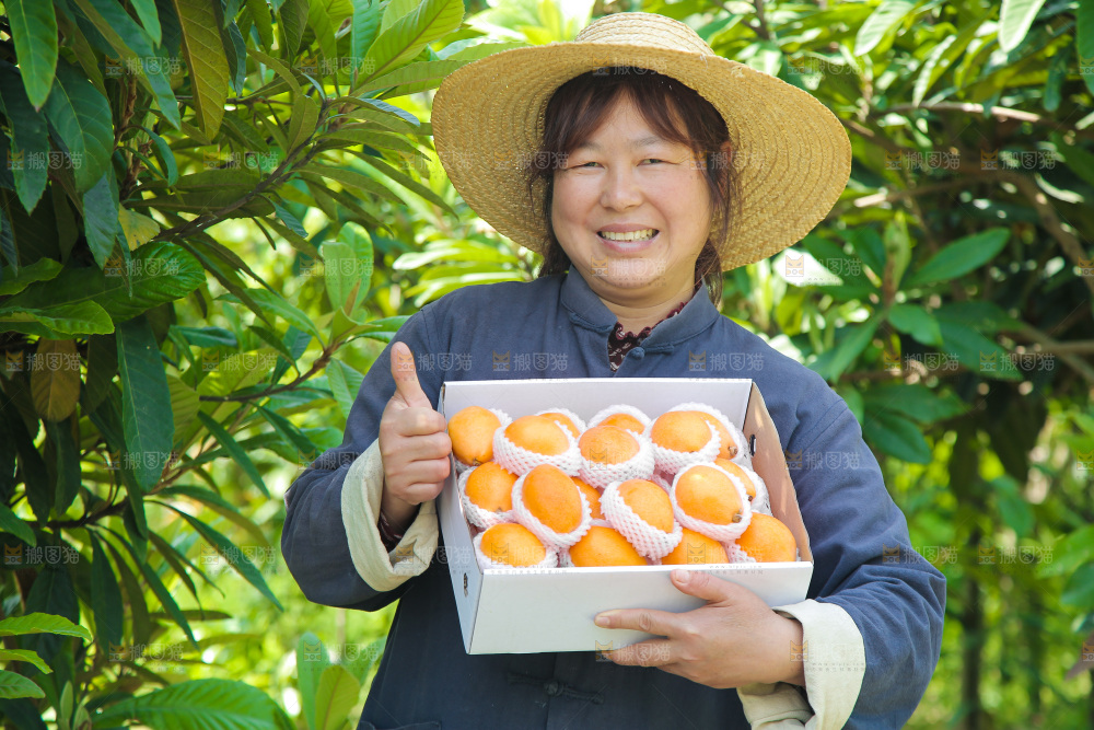 女人手里端着一箱大五星枇杷