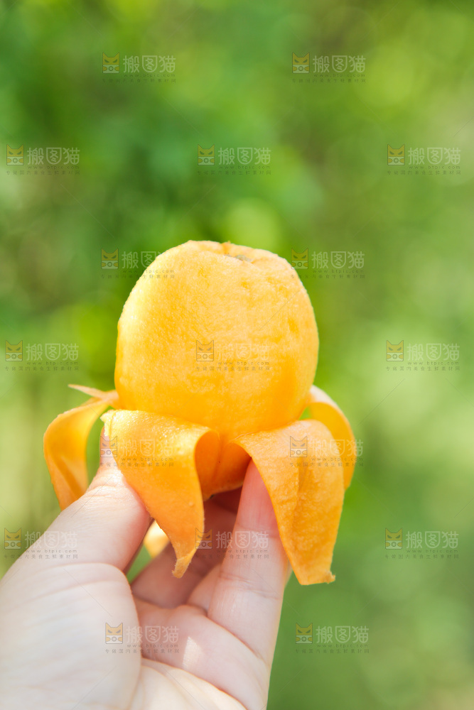 手里拿着大枇杷