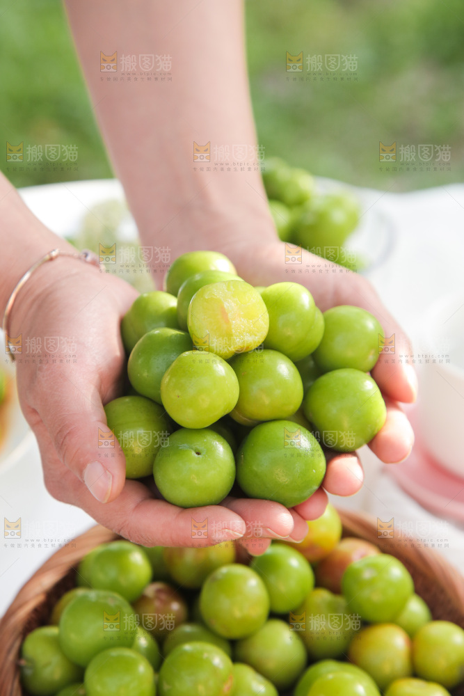 手里捧着酸脆李