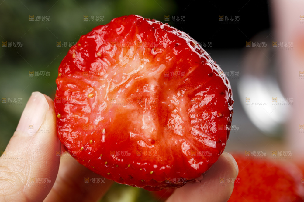 深底上的丹东草莓