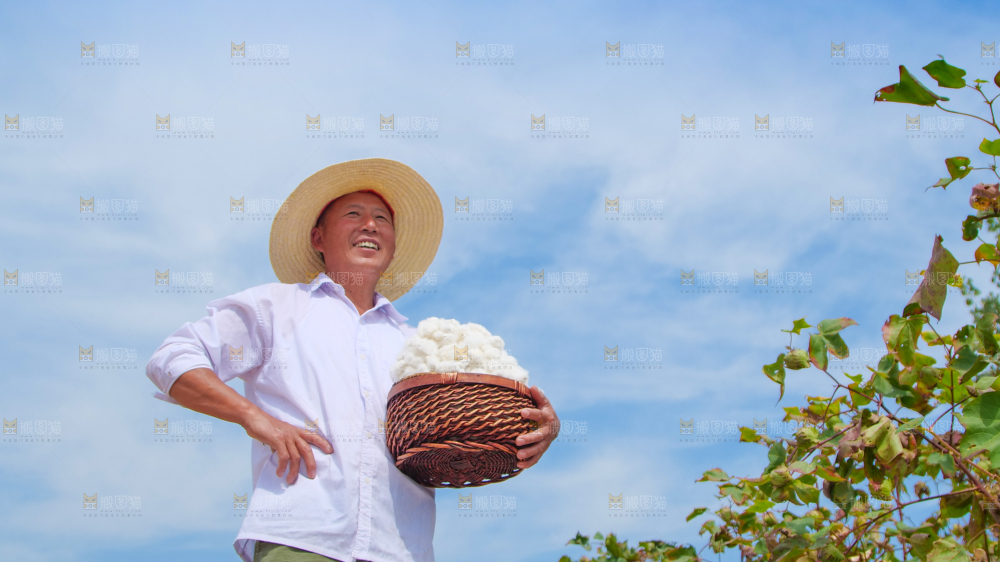 手里拿着棉花