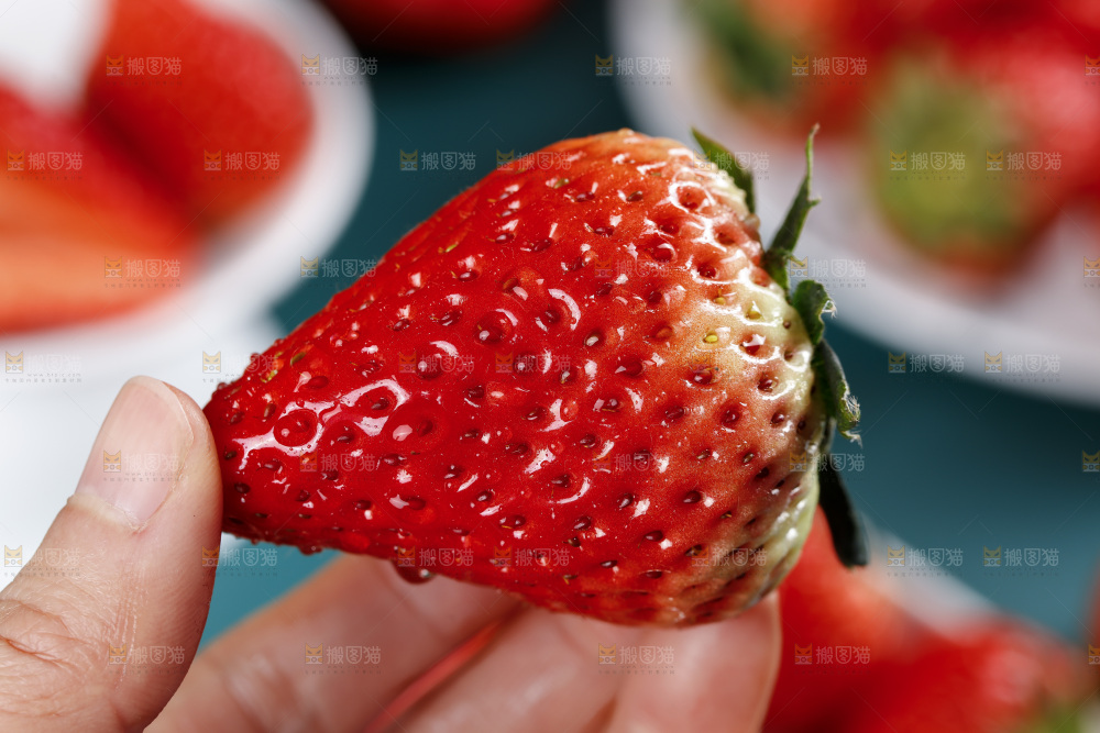 深底上的丹东草莓