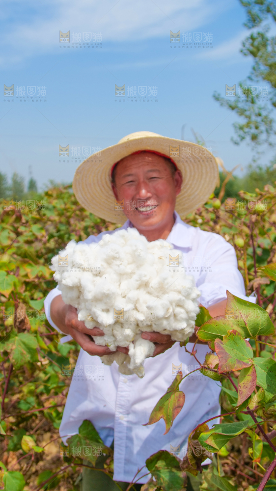 手里拿着棉花