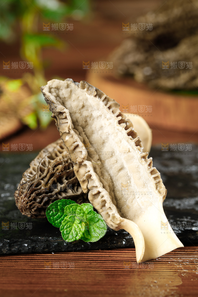 木底上的羊肚菇