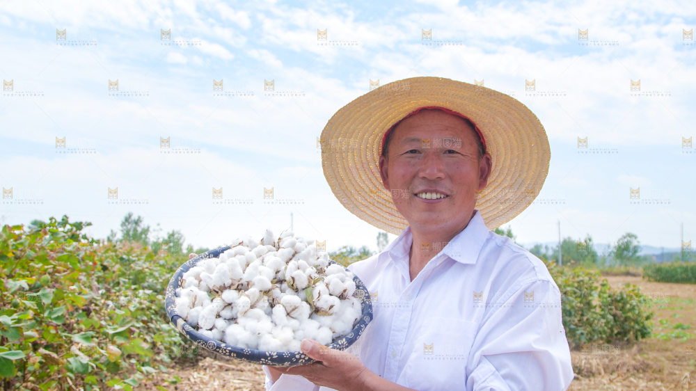 手里拿着棉花