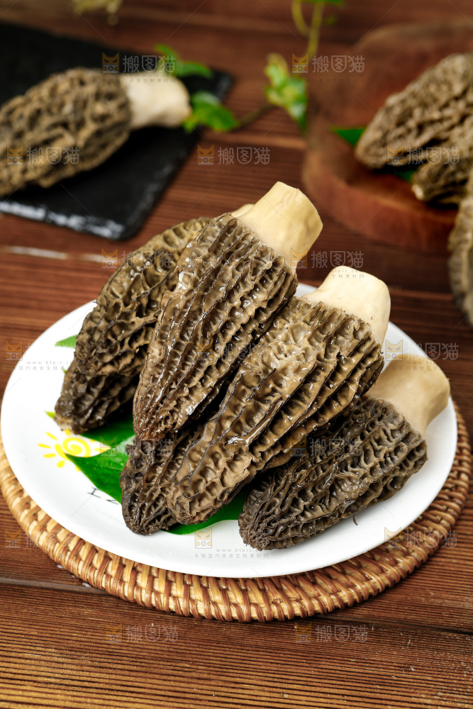 木底上的羊肚菇