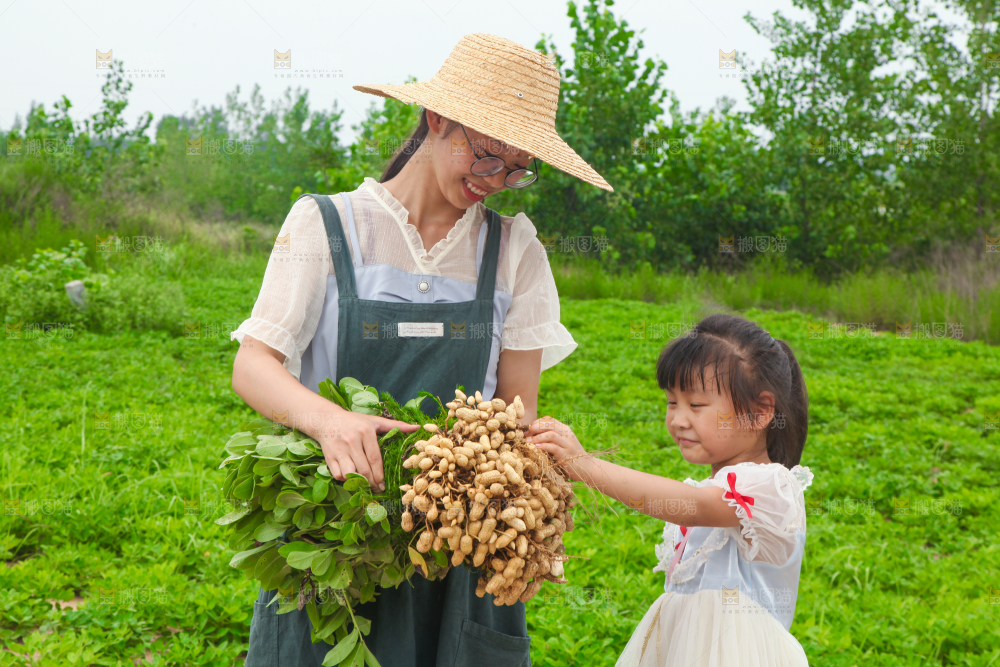 手里拿着现挖花生