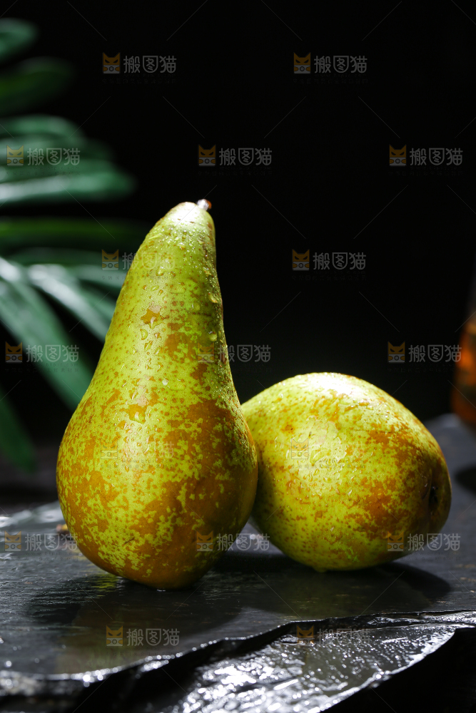 青啤梨