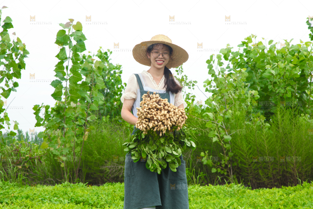手里拿着现挖花生
