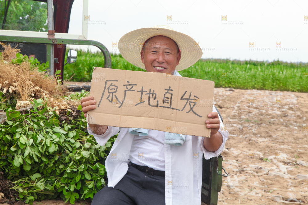 花生产地