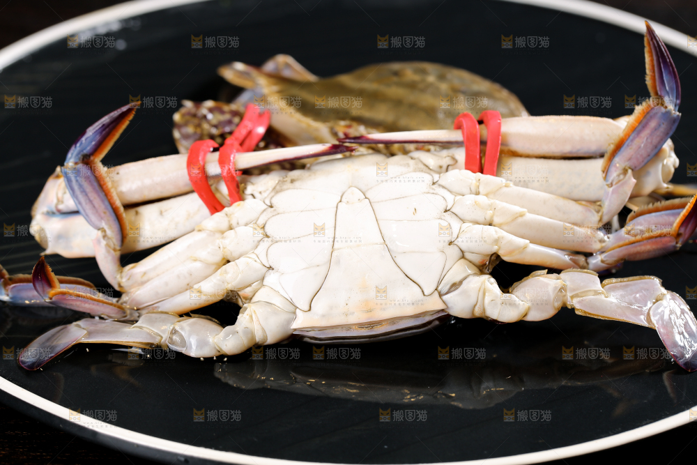 深底上放着梭子蟹