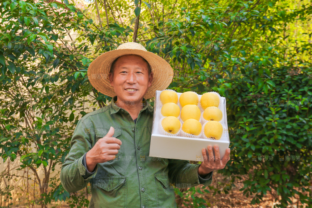 手里拿着维纳斯苹果