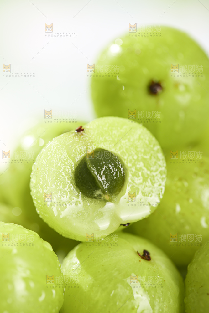 浅底上的油甘果