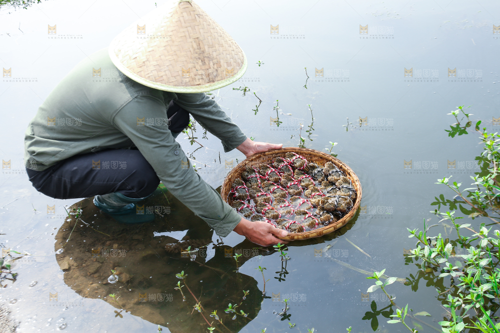 手里拿着阳澄湖大闸蟹