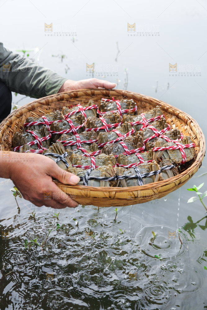 手里拿着阳澄湖大闸蟹