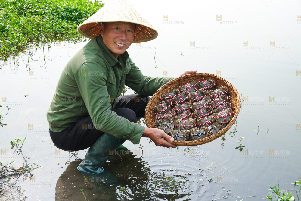 手里拿着阳澄湖大闸蟹